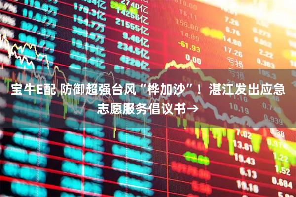 宝牛E配 防御超强台风“桦加沙”！湛江发出应急志愿服务倡议书→