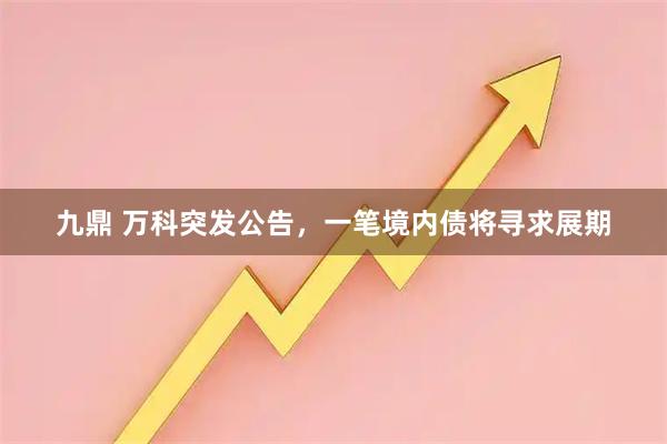 九鼎 万科突发公告,一笔境内债将寻求展期